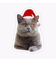 British Shorthair Kedi Araba Oto Sticker Yapıştırma Etiket 17CM z5