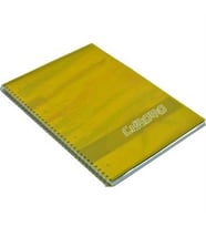 GIPTA CHROM-O SPİRALLİ PP. KAPAK A5 100YP. KARELİ DEFTER - 2312