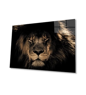 Aslan 14 Cam Tablo