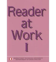 Reader At Work 1