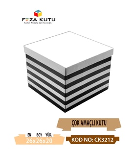 26x26x20 Çok Amaçlı Kutu Karton Kutu Pasta Kutusu (10 Adet)