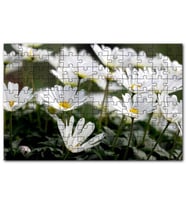 Cakapuzzle Taçlı Beyaz Dağ Laleleri Yakın Çekim Puzzle Yapboz MDF (Ahşap) (120 Parça)