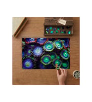 Sualtı Canlıları - Okyanus Tasarımı 240 parça Ahşap Puzzle Ahşap Kutuda MP08456