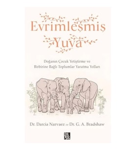 Evrimleşmiş Yuva