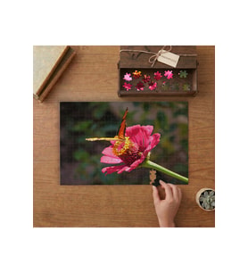 Pembe Çiçeğe Konan Güzel Kelebek Tasarımı 240 parça Ahşap Puzzle Ahşap Kutuda MP03178