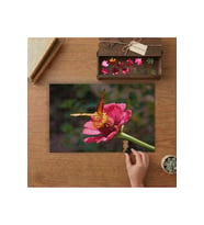 Pembe Çiçeğe Konan Güzel Kelebek Tasarımı 240 parça Ahşap Puzzle Ahşap Kutuda MP03178