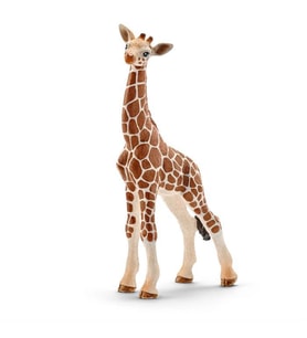 Schleich Yavru Zürafa 14751