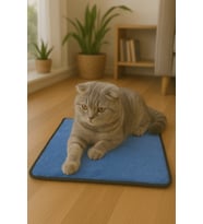 Yumuşak Dokulu Peluş Kedi Halısı 40x40 cm Kulübe İçi Pofuduk Minder (Mavi)