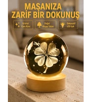 Bitki Temalı Led Işıklı Cam Küre Ahşap Standlı Modern Gece Lambası