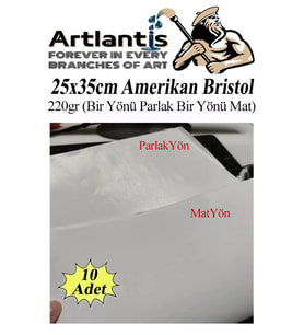 Amerikan Bristol Karton 25x35 cm 10 Adet 220 gr Bir Tarafı Parlak Bir Tarafı Mat Kağıt Biristol Karton (Beyaz)