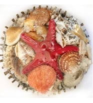 Sepet Kabuk 14 CM Ağaç Dalı ( Yuvarlak )