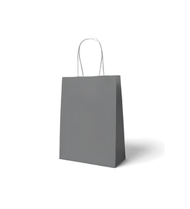 18x8x24 Büküm Saplı Çanta 10'lu Gümüş