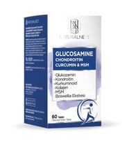 NaturalNest Glucosamine Chondroitin Curcumin & Msm Tablet