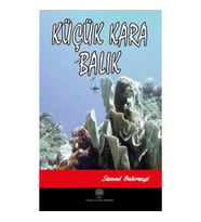 Küçük Kara Balık