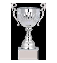 ODAK KUPA - X Large Kupalar - XL-037 C - 29 cm