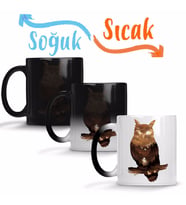 Owl Sunset Baykuş Sihirli Kupa Bardak-Kurtarıldı.jpg