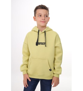 Toontoy Erkek Çocuk Nakışlı Sweatshirt (Açık Yeşil)