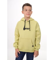Toontoy Erkek Çocuk Nakışlı Sweatshirt (Açık Yeşil)