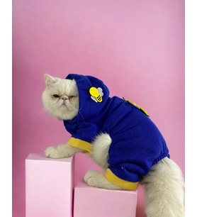 Navy Bee Kedi Tulumu Kedi Kıyafeti (Lacivert)