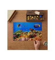 Rengarenk Deniz Canlıları Tasarımı 240 parça Ahşap Puzzle Ahşap Kutuda MP04556