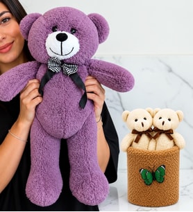 Büyük Boy Mor Peluş Ayıcık ve Peluş Saksıda Ayıcık Buketi Sevgiliye Kadına Arkadaşa Hediye
