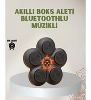 Bluetoothlu Akıllı Boks Antrenman Cihazı Işıklı Hedefli Kardiyo Ve Fitness Aleti