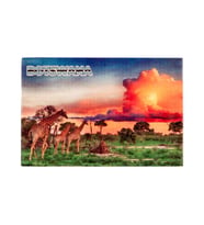 Botsvana Temalı Ahşap Kartpostal Magnet (Karışık)