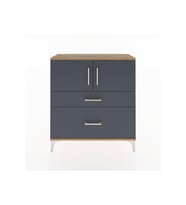 Arges Şifonyer 2 Raflı 2 Çekmeceli 2 Kapaklı 88x30x96 Çam-Antrasit