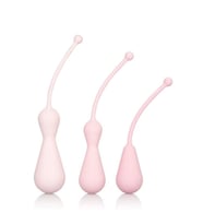 Fastieshop Kegel Egzersizleri Eğitim Seti (Pembe)