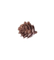 Naturel Kozalak 3x2 cm (1/2Kg)(250'li)