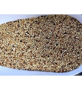 SUDE LİFE MUHABET KUŞU YEMİ 800 GR