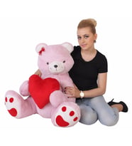 Utangaç Aşık Ayı 70 CM