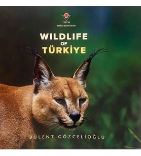 Wıldlıfe Of Türkiye
