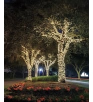 Animasyonlu Led Beyaz Işık 220V 10 Metre IP44 (SU GEÇİRMEZ) (RGB)