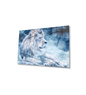 Aslan Cam Tablo 4mm Dayanıklı Temperli Cam (Çok Renkli)