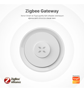 Zigbee & Wi-Fi & BLE Ağ Geçidi (Beyaz)