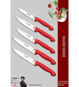 Lazbisa Silver Serisi Mutfak Bıçak Seti Et Ekmek Sebze Meyve Bıçağı 5 Li Set Günlük Kullanım ( Mtf-015 )