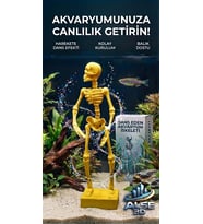 Alse Dans Eden Akvaryum İskeleti 2'li Set - Akvaryumunuzda ikili Eğlence!(SARI)