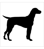 KÖPEK FOLYO STİCKER DERSTV891 30cm Uzunluk (Karışık)