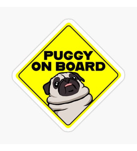 Arabada Puggy Köpek Var Araç Sticker Etiket 19CM md2