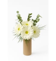 Bej Çizgili Polimer Vazoda Beyaz Gerbera Çiçekleri