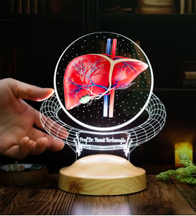 Karaciğer Hepatolog Uzmanına Hediye – Kişiye Özel Gastroenteroloji & Hepatoloji Doktoru LED Lamba, Karaciğer Tasarımlı Tıp Hediyesi