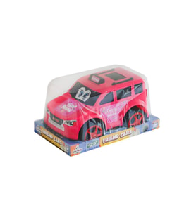 CLK-170 VAKUMLU MİNİKS RENKLİLER