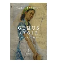 Gümüş Aygır