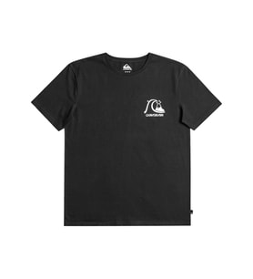 Quıksılver THEORIGINALTEE M TEES Erkek T-shırt EQYZT07239-KVJ0 (Siyah)