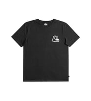 Quıksılver THEORIGINALTEE M TEES Erkek T-shırt EQYZT07239-KVJ0 (Siyah)