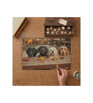 Sevimli Köpekler Tasarımı 240 parça Ahşap Puzzle Ahşap Kutuda MP03237