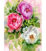 Güllerin Tonları Sayılarla Boyama Seti 40x50 cm (Tuvale Gerili)