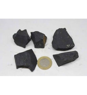 Shungite (Şungit) Taşı Ham Parça (10-19gram)