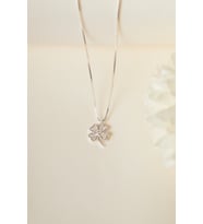 Elika Silver 925 Ayar Gümüş Küp Zincirli Yonca Model Kolye (Gümüş)